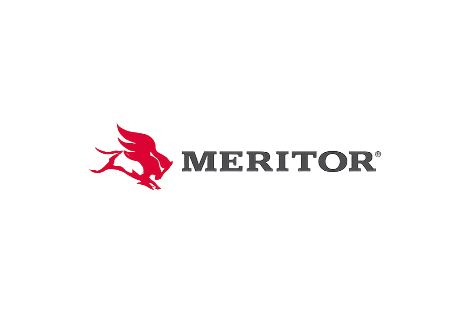 Peças Meritor diferencial